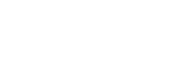 Gemeente Velsen