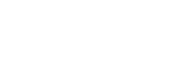 Woningbedrijf Velsen